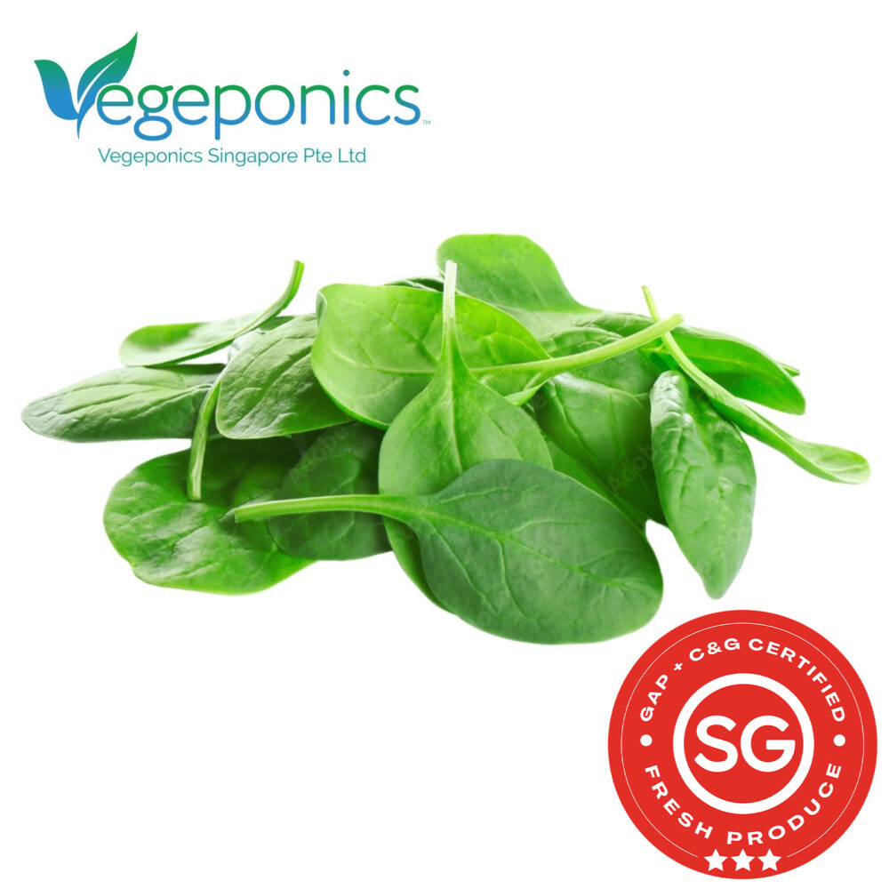 Baby spinach is a tender, nutrient-rich leafy green known for its mild flavor and smooth texture. It's perfect for salads, smoothies, and light cooking, offering a good source of vitamins A, C, and K, as well as iron and fiber.
