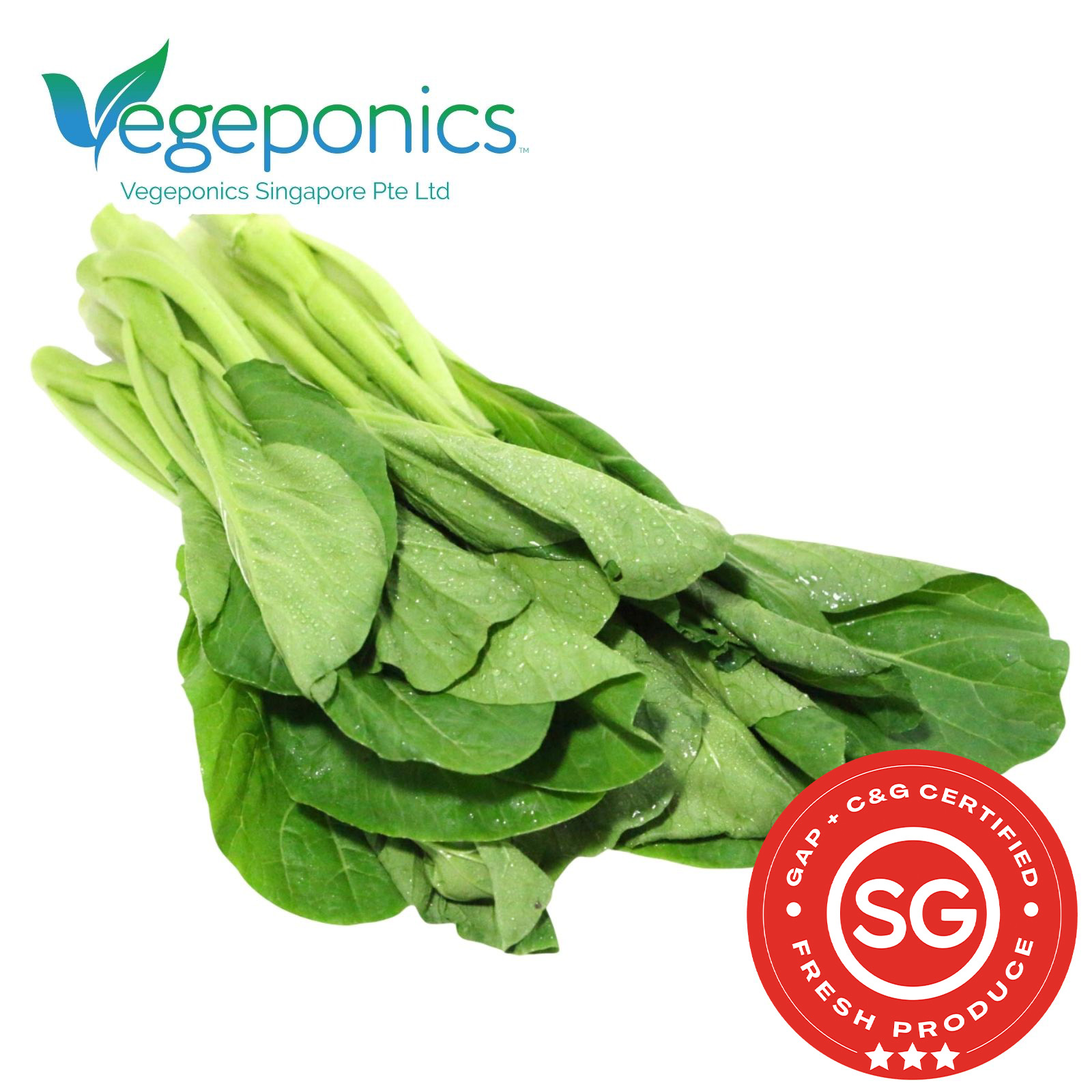 Chye Sim (200G)