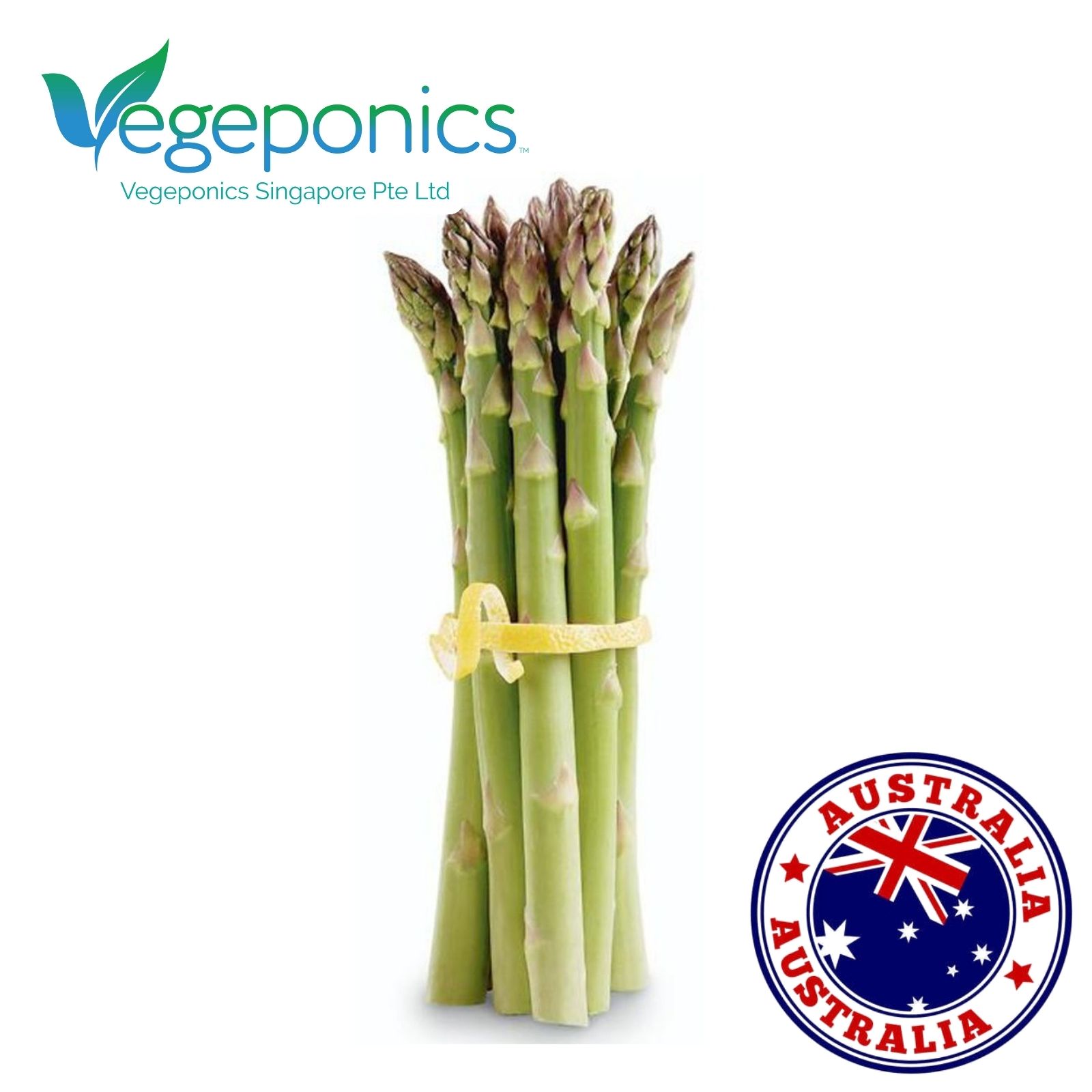 Australia Asparagus (320G)
