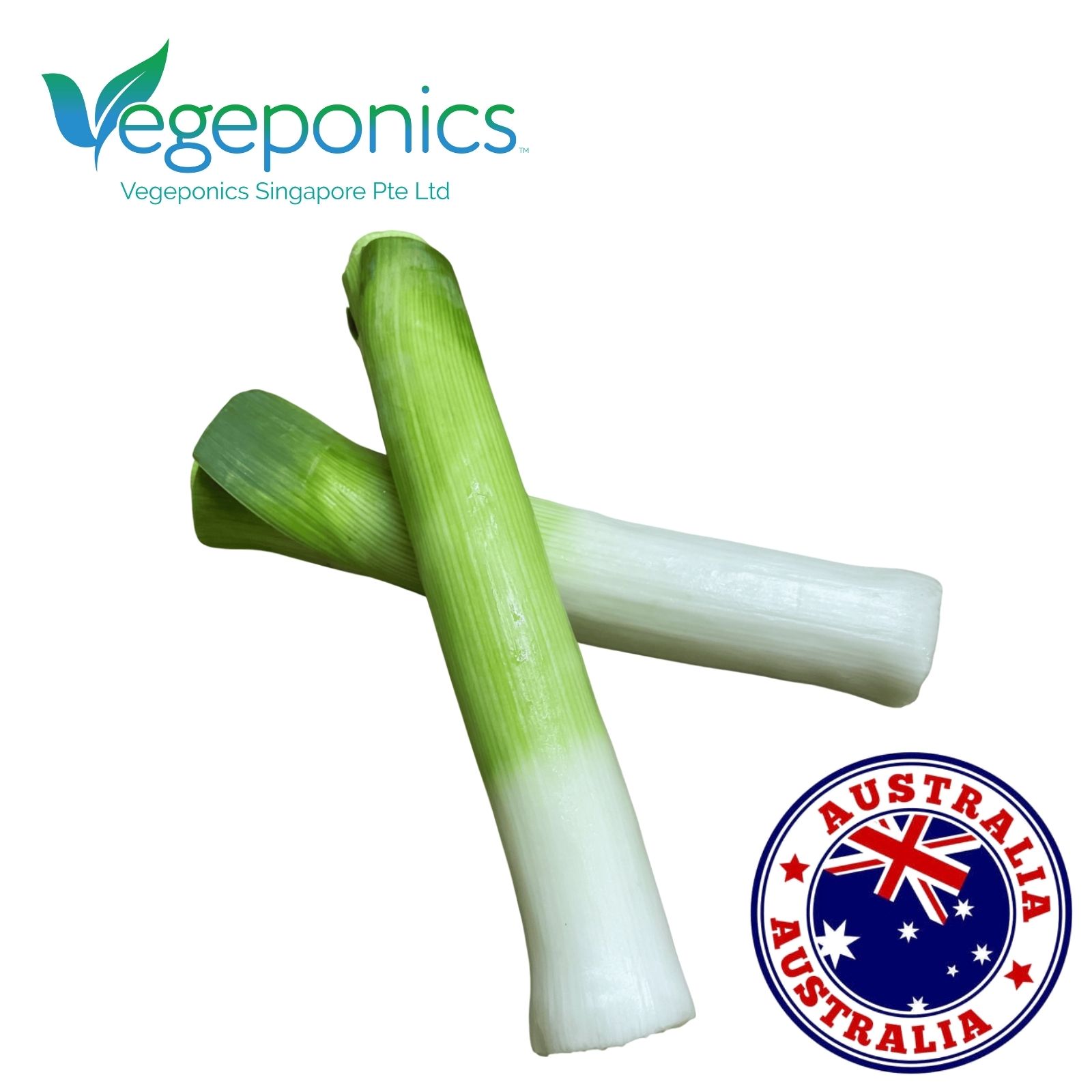 Australia Trimmed Leek (250G)