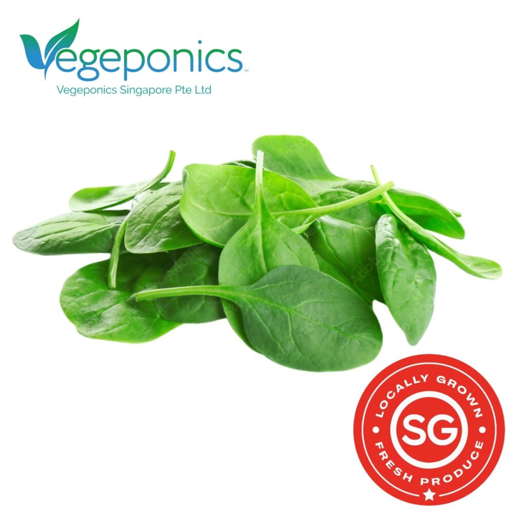 Baby spinach is a tender, nutrient-rich leafy green known for its mild flavor and smooth texture. It's perfect for salads, smoothies, and light cooking, offering a good source of vitamins A, C, and K, as well as iron and fiber.