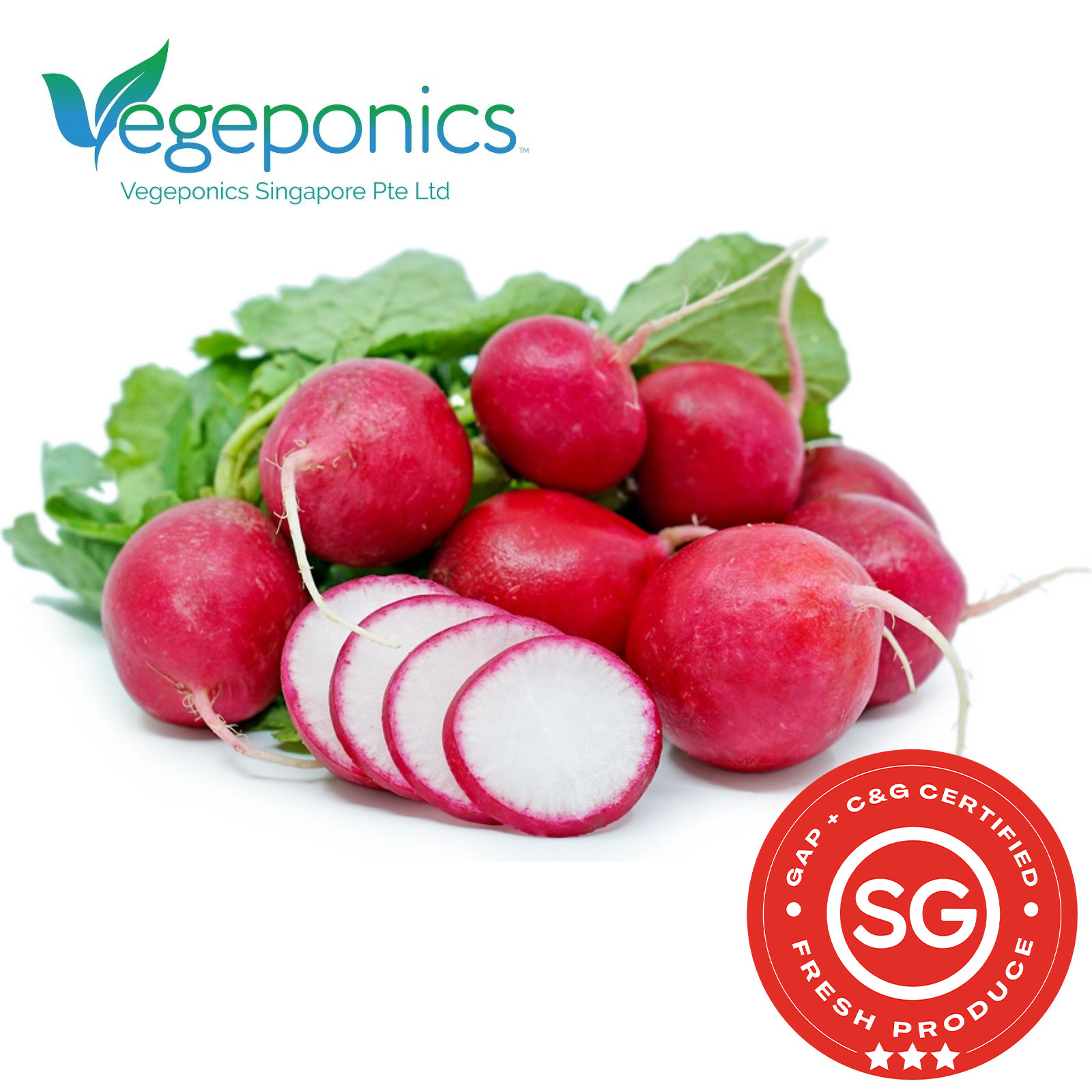 Red Radish (150G)